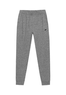 Спортивные брюки 4F, светло-серый