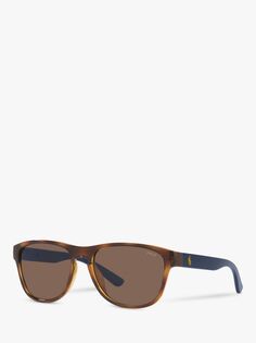 Солнцезащитные очки-подушка унисекс Polo Ralph Lauren PH4180U, гавана/коричневый