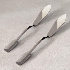 Набор ножей для рыбы Zara Home+ By Vincent Van Duysen, 2 предмета, стальной