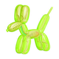 Фигурка Jason Freeny 4D Master Funny Anatomy Balloon Dog, зеленый