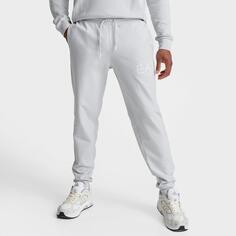 Мужские брюки-джоггеры с шлейфом Emporio Armani EA7, серый
