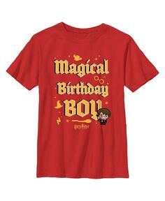 Детская футболка с изображением Гарри Поттера «Волшебный день рождения мальчика» для мальчика Warner Bros.