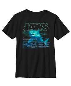 Детская футболка с принтом «Jaws ​​Shark Blue» для мальчика NBC Universal