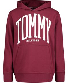 Пуловер с капюшоном Little Boys Tommy из переработанного материала Tommy Hilfiger