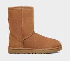 Угги Classic Short UGG, коричневый