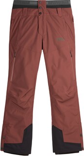 Зимние брюки Object — мужские Picture Organic Clothing, фиолетовый
