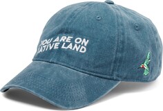 Повседневная кепка «Ты на родной земле» Urban Native Era, синий