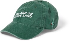Повседневная кепка «Ты на родной земле» Urban Native Era, зеленый