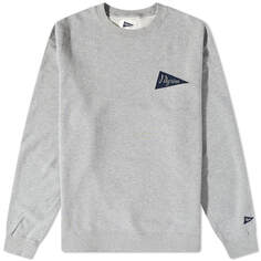 Джемпер Pilgrim Surf + Supply Team Crew Sweat