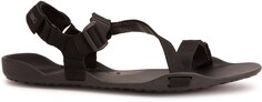 Сандалии Z-Trek — женские Xero Shoes, черный