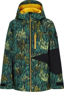 Утепленная куртка Gage – для мальчиков Obermeyer, зеленый