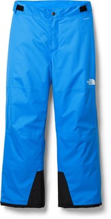 Утепленные зимние брюки Freedom – для мальчиков The North Face, синий
