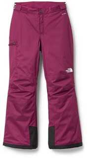 Утепленные зимние брюки Freedom – для девочек The North Face, красный