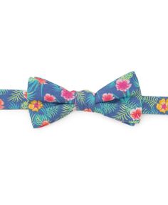 Мужской галстук-бабочка в тропическом стиле Cufflinks Inc.