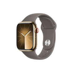 Умные часы Apple Watch Series 9 (GPS+Cellular), 41 мм, Gold Stainless Steel Case/Clay Sport Band - M/L