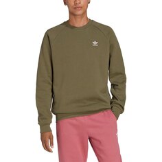 Толстовка adidas Originals Trefoil Essentials Crewneck, зеленый