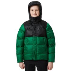 Куртка Helly Hansen Vision Puffy, зеленый