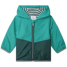 Куртка Carrement Beau Y06033, зеленый