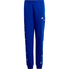 Брюки adidas Sportswear Bluv Q1, синий