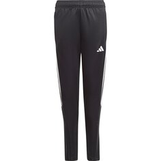 Брюки adidas Tiro23 Cb, черный