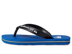 Сандалии Quiksilver Kids Quiksilver Kids Molokai Core Flip Flops (Toddler/Little Kid/Big Kid), синий