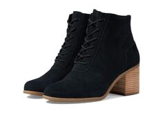 Ботинки TOMS Evelyn Lace-Up