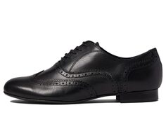 Оксфорды Massimo Matteo Luna Wing Tip, черный