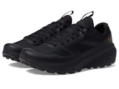 Кроссовки Arc&apos;teryx Norvan LD 3 GTX Arc'teryx