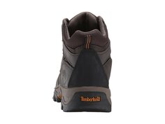 Треккинговая обувь Timberland Kids Mt. Maddsen Mid Waterproof (Big Kid)