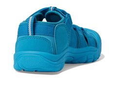 Сандалии KEEN Kids Newport H2 (Little Kid/Big Kid)