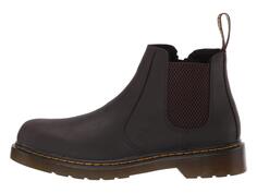 Ботинки Dr. Martens Kid&apos;s Collection 2976 (Big Kid)