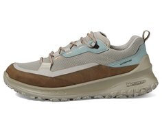 Треккинговые ботинки ECCO Sport Ultra Terrain Waterproof Low Hiking, бежевый/коричневый