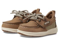 Топсайдеры Sperry Kids Fairwater Plushwave (Toddler)