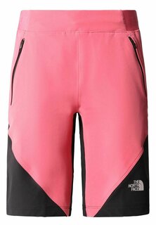 Спортивные шорты The North Face, светло-розовый