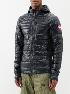 Стеганый пуховик hybridge lite с капюшоном и стеганым рипстопом Canada Goose, черный