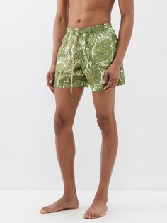 Плавки-шорты с цветочным принтом Etro, зеленый