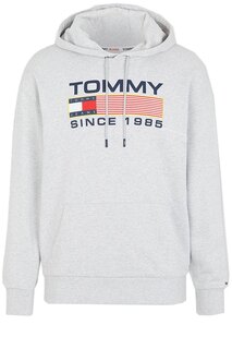 Худи Tommy Jeans DM0DM15009, серый
