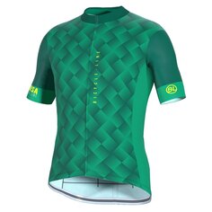 Джерси с коротким рукавом Bicycle Line Conegliano, зеленый