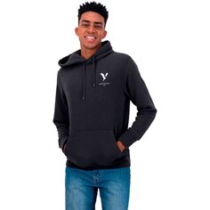 Толстовка American Eagle Graphic Fleece Hooded, черный