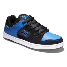 Кроссовки Dc Shoes Manteca 4 ADYS100765, синий