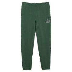 Спортивные брюки Lacoste XH1211-00, зеленый