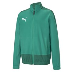 Куртка Puma Teamgoal 23, зеленый