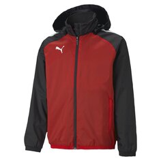 Куртка Puma TeamLiga All Weather, красный