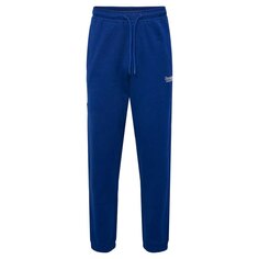 Спортивные брюки Hummel Legacy Bryce, синий