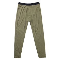 Базовые брюки Burton Phayse, зеленый