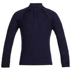 Футболка с длинным рукавом Icebreaker 260 Tech Merino, синий