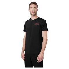 Футболка 4F TSHIRT FNK M209, черный