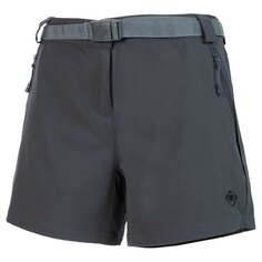 Шорты Izas Bielsa II Shorts Pants, серый