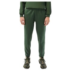 Спортивные брюки Lacoste XH5072-00, зеленый
