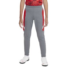 Брюки Nike Dri Fit Academy Long, серый